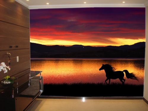 Papel De Parede Paisagem Animais Cavalo Pulando Céu M² Anm84