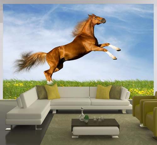 Papel De Parede Paisagem Animais Cavalo Pulando Céu M² Anm84